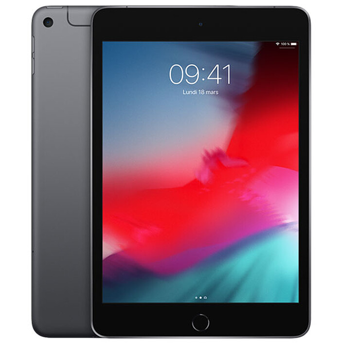 Apple iPad mini 5 Wi-Fi + Cellular 64 Go Gris Sidéral · Reconditionné