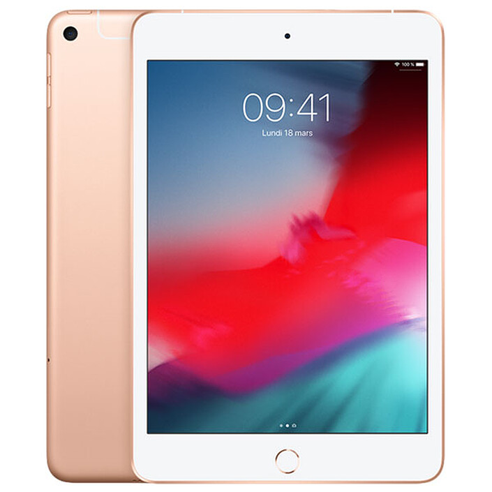 Apple iPad mini 5 Wi-Fi + Cellular 256 Go Or · Reconditionné