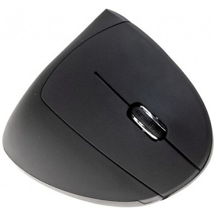 Souris PC