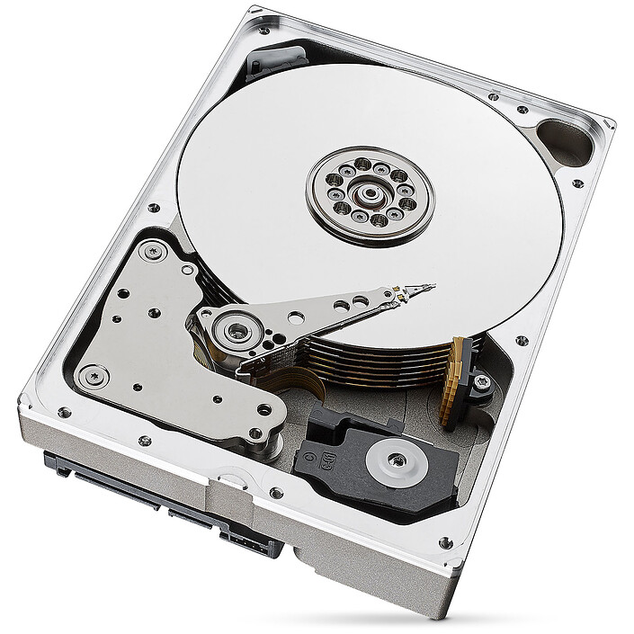 Seagate SkyHawk AI 8 To (ST8000VE0004) pas cher