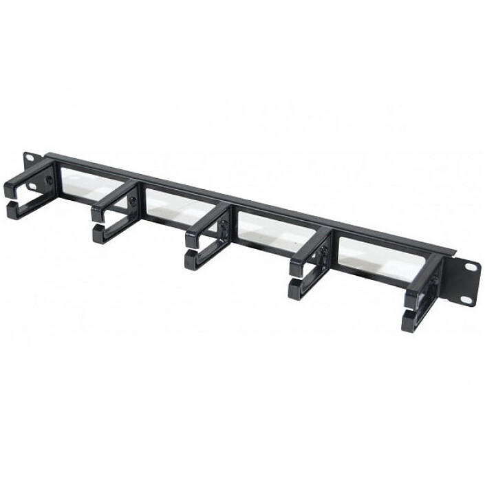 Dexlan cable guide for network cabinets - length 19'' - height 1U - open