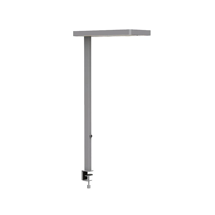 Maul LED MAULjuvis Pince de fixation