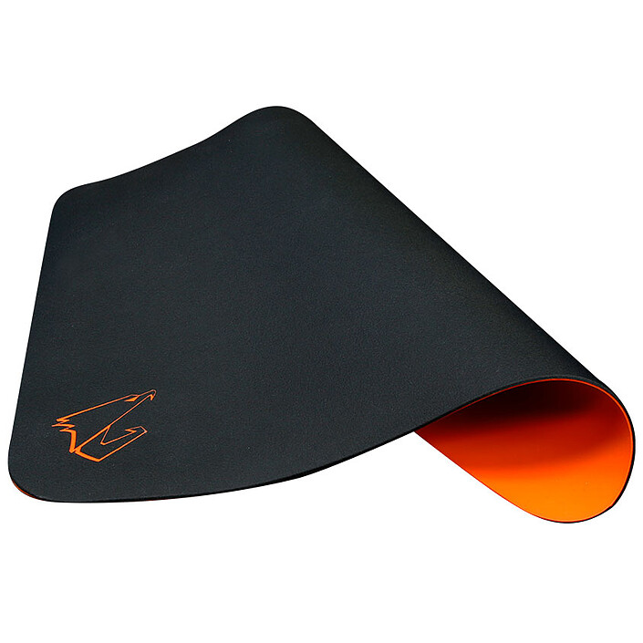 Acheter Aorus AMP300