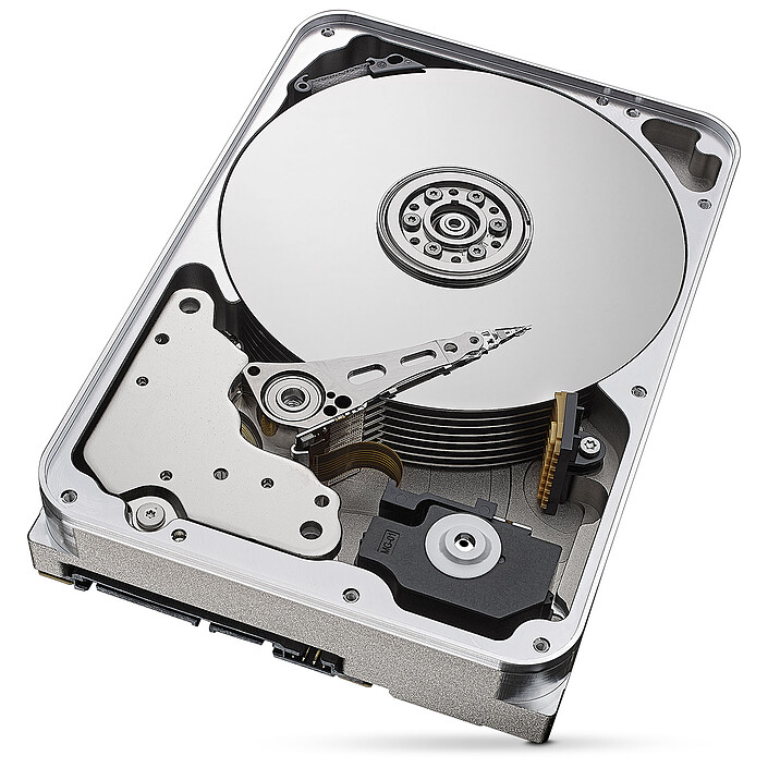 Acheter Seagate IronWolf Pro 10 To (ST10000NE0008)