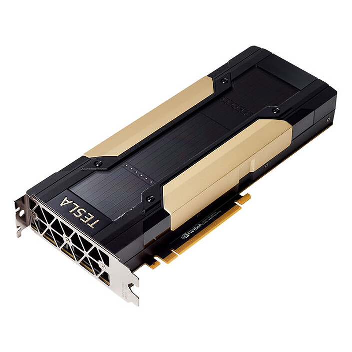 PNY Tesla V100 (32 Go)