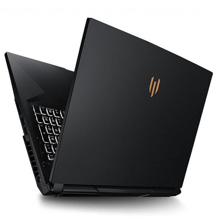 Acheter MSI WE75 9TJ-008FR Workstation