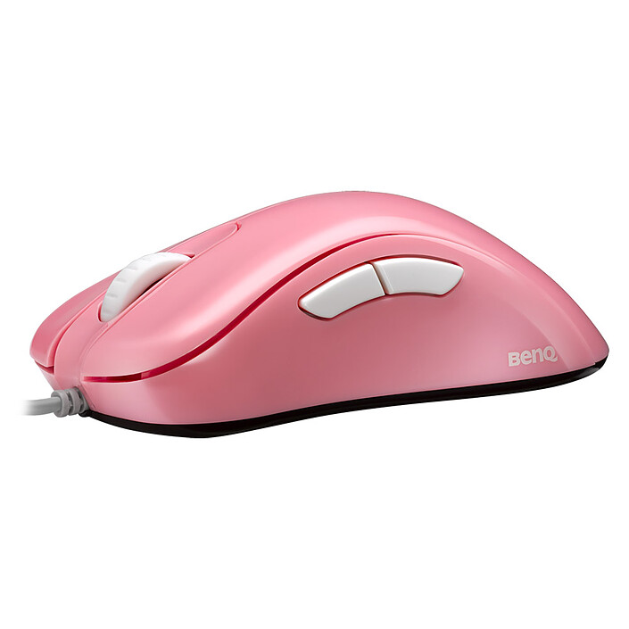 Souris PC