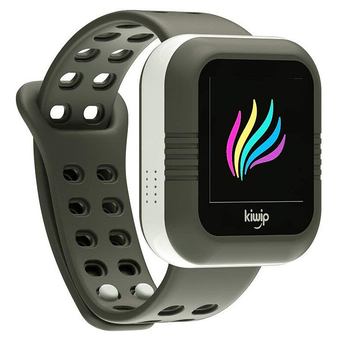 KiwipWatch Gris
