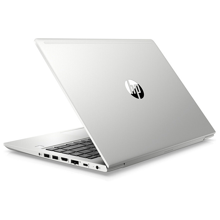 HP ProBook 445 G6 (6MQ65EA) pas cher