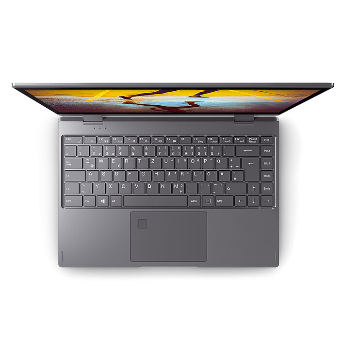 Comprar Medion Akoya S4401 MD61268 (30025799)