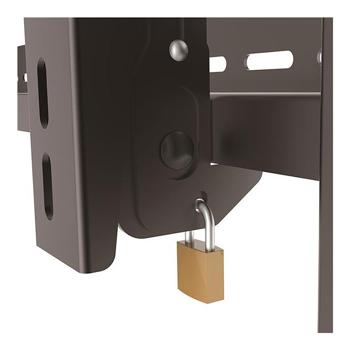 Acheter StarTech.com VIDWALLMNT