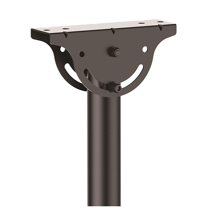 Acheter StarTech.com - FPCEILPTBLP