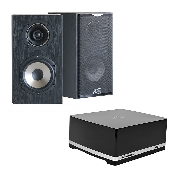 Cabasse Stream AMP 100 Antigua MC170 Ebne