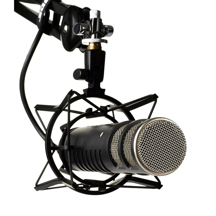 Microphone