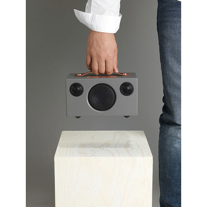 Avis Audio Pro Addon T3 Gris