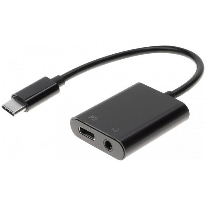 Adaptateur Audio USB Type-C vers USB-C PD + Jack 3.5 mm