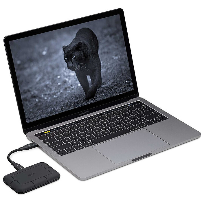 Opiniones sobre LaCie Rugged Pro Thunderbolt 3 SSD 1Tb