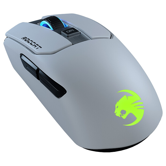 Souris gamer