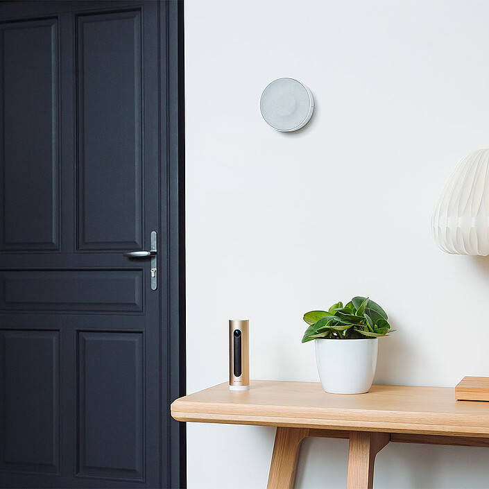 Acquista Sirena da interno intelligente Netatmo