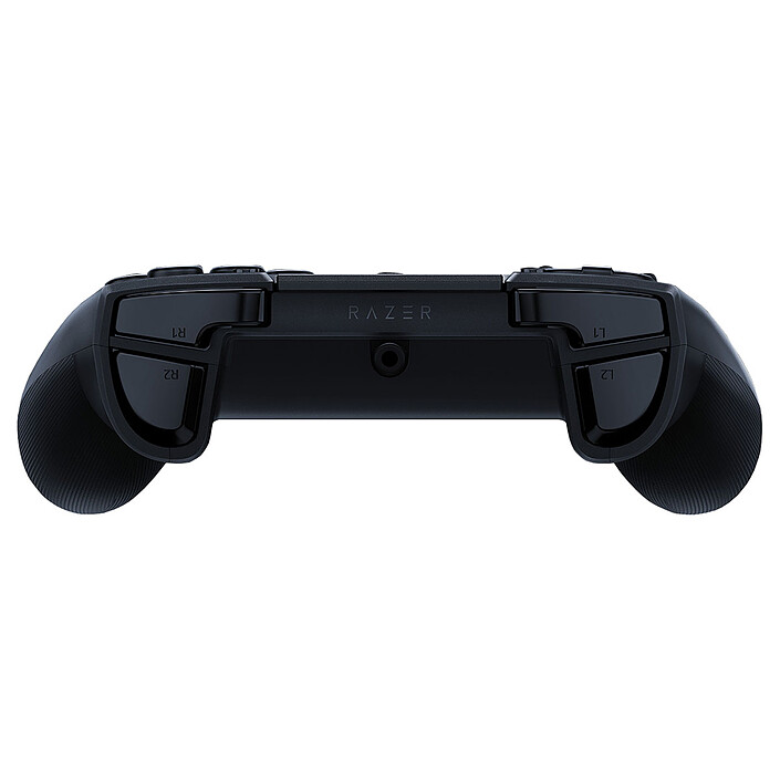 Avis Razer Raion