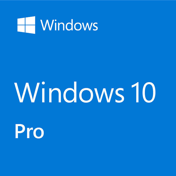 Microsoft Windows 10 Professionnel 32/64 bits - Version clé USB (HAV-00123)