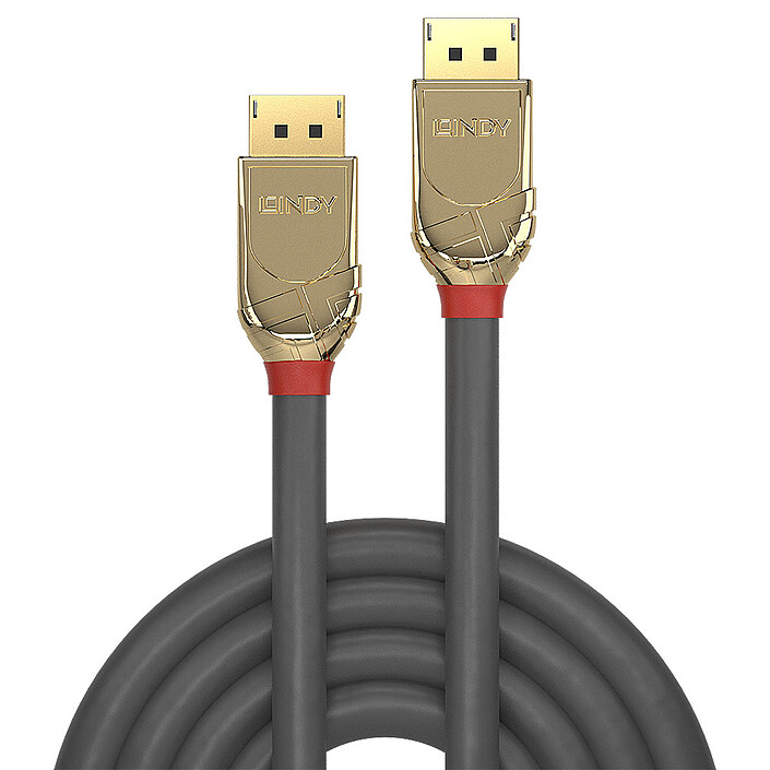 DisplayPort