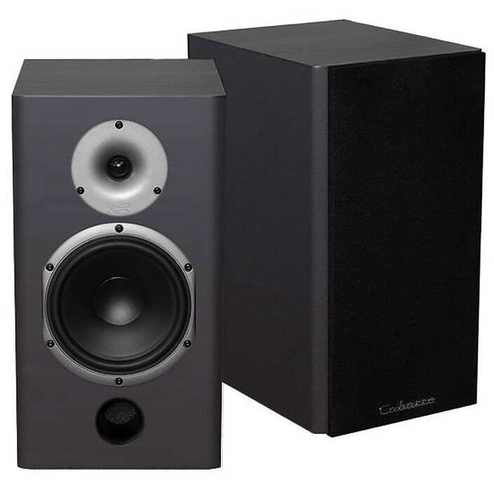 Buy Sherwood RX-4508 Cabasse Antigua MT22 Black Satin