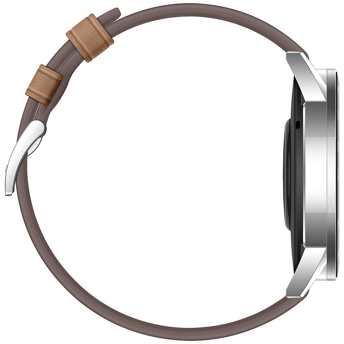 Acheter Honor MagicWatch 2 (46 mm / Marron)