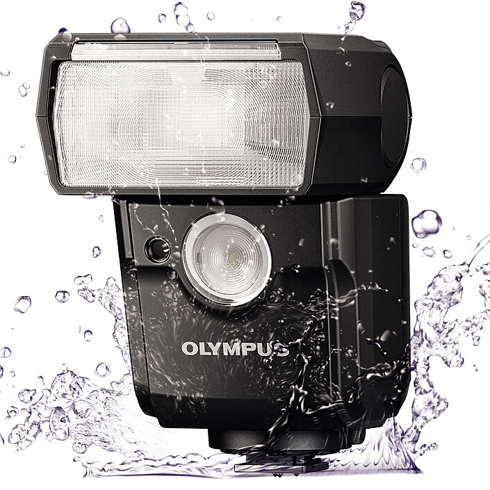 cheap Olympus FL-700WR