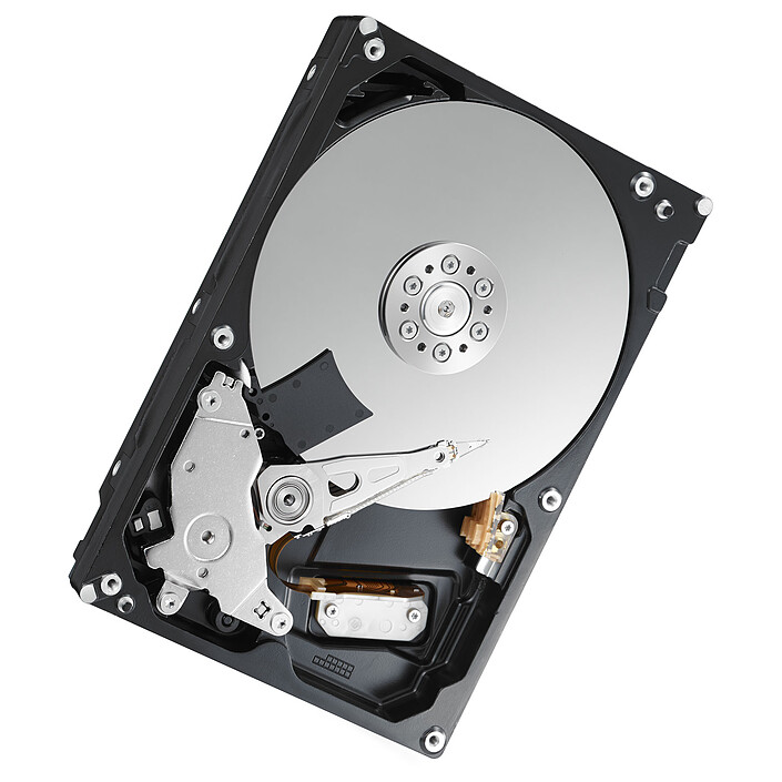 Acquista Toshiba P300 4Tb (Bulk)