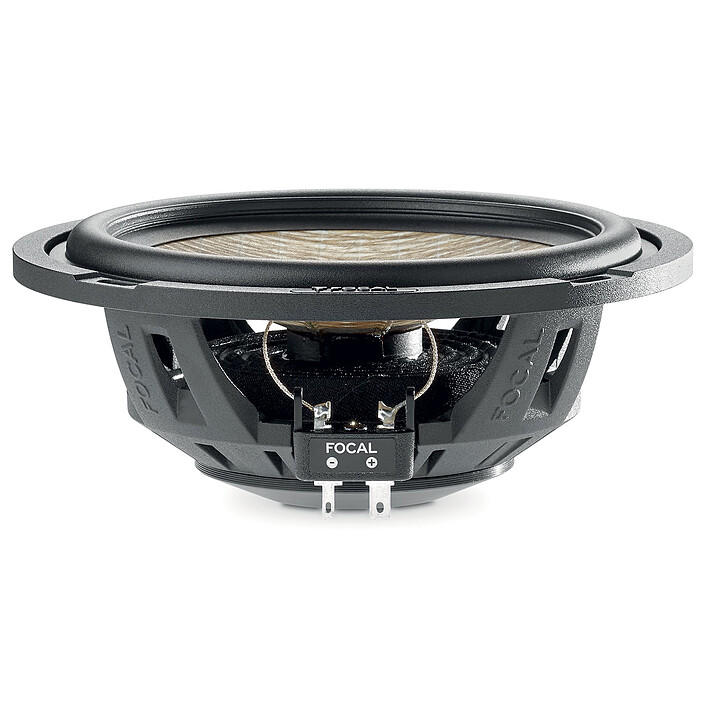 Avis Focal PS 165 FSE Flax Evo