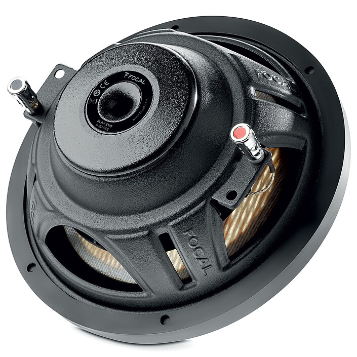 Buy Focal P 20 FSE Flax Evo
