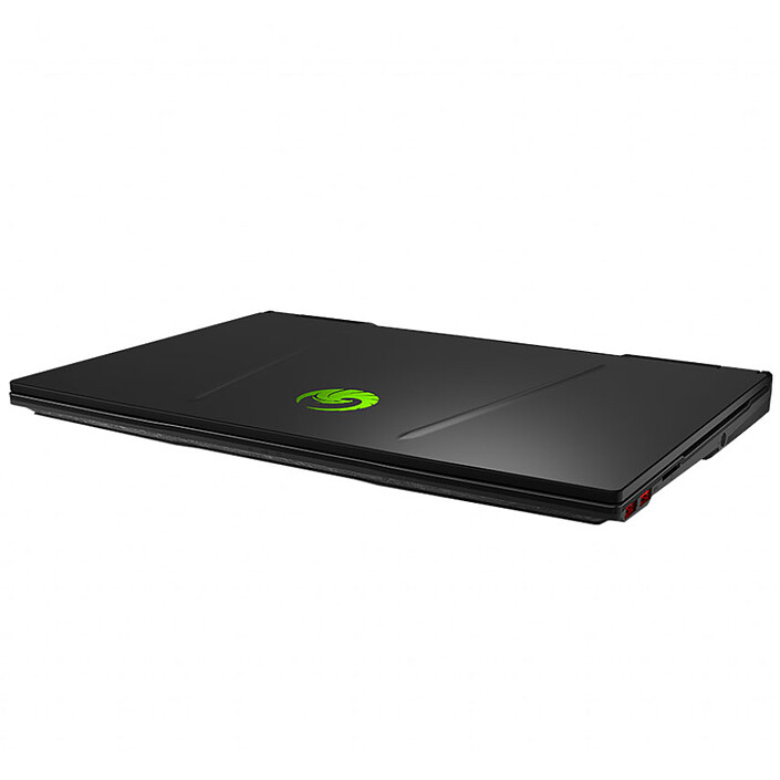 Avis MSI Alpha 15 A3DD-095XFR