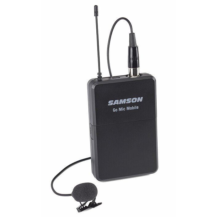 Microphone