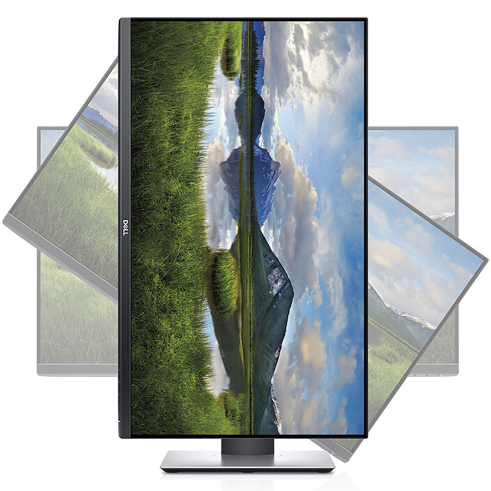 Avis Dell 27" LED - P2719H