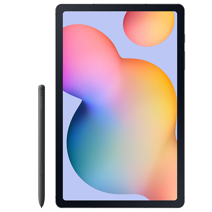 Samsung Galaxy Tab S6 Lite 10.4" SM-P615 64 Go Gris Wi-Fi 4G LTE · Reconditionné