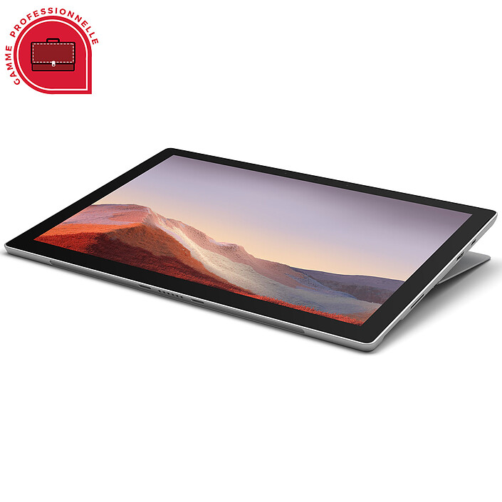 Microsoft Surface Pro 7 for Business - Platine (PVT-00003)