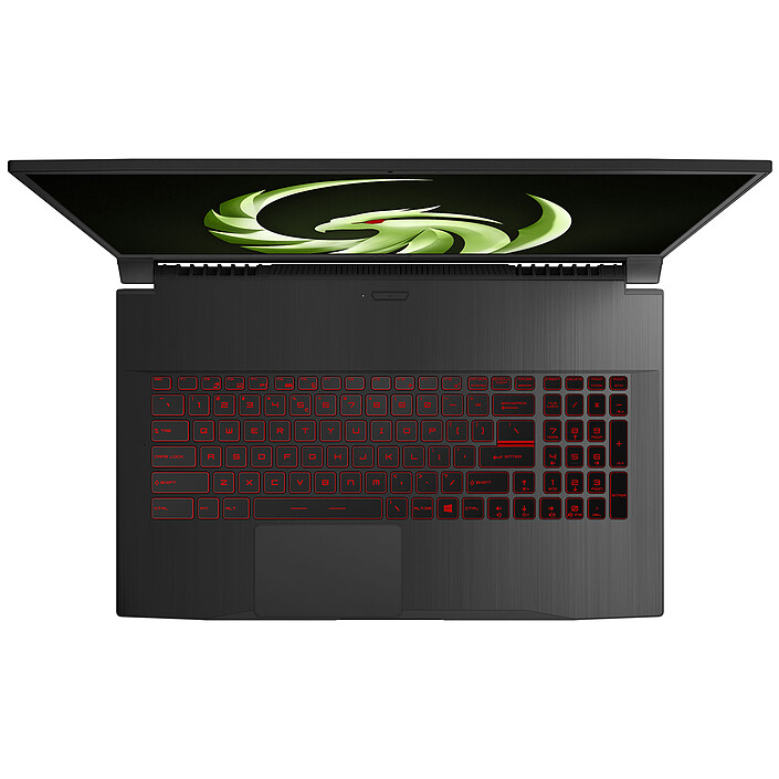 Avis MSI Bravo 17 A4DDR-024FR