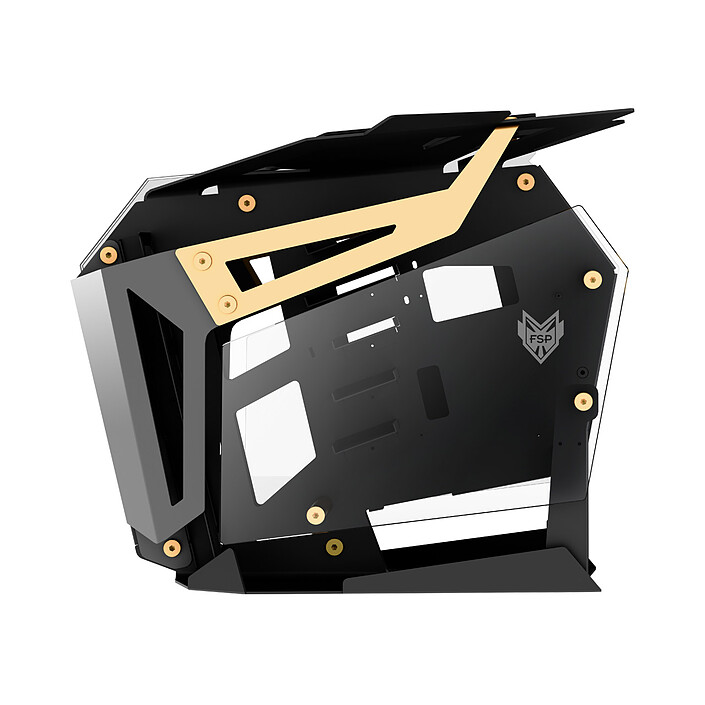 Avis FSP T-Wings Or