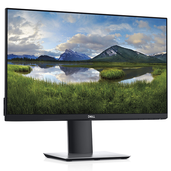 Avis Dell 23" LED - P2319H