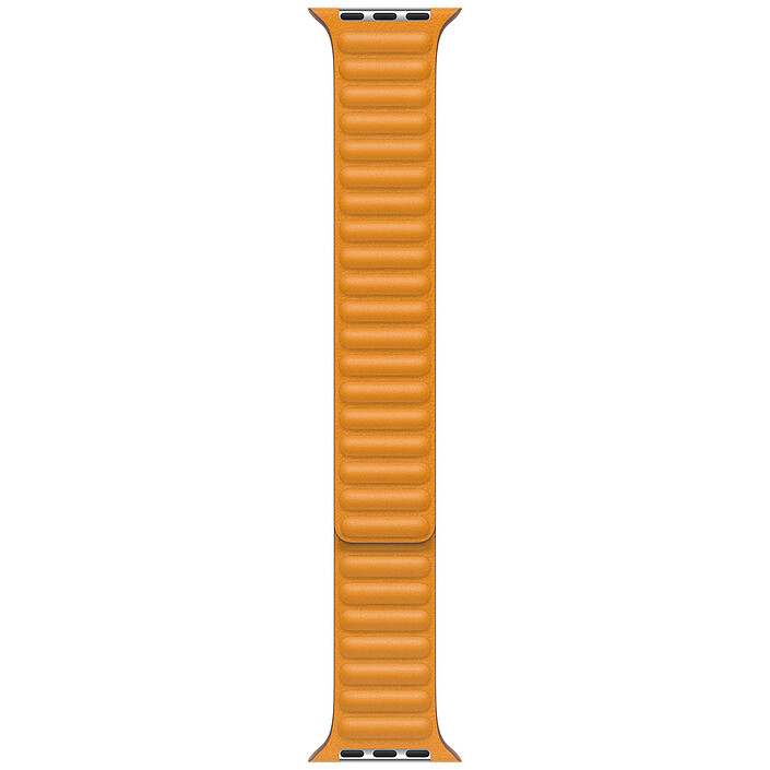 Apple Bracelet Leather Link 40 mm California Poppy - Large