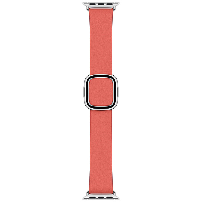 Bracciale Apple Moderna Fibbia 40 mm Agrumi Rosa - Grande