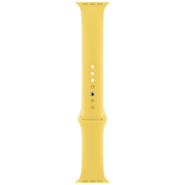 Apple Bracelet Sport 40 mm Ginger - Regular