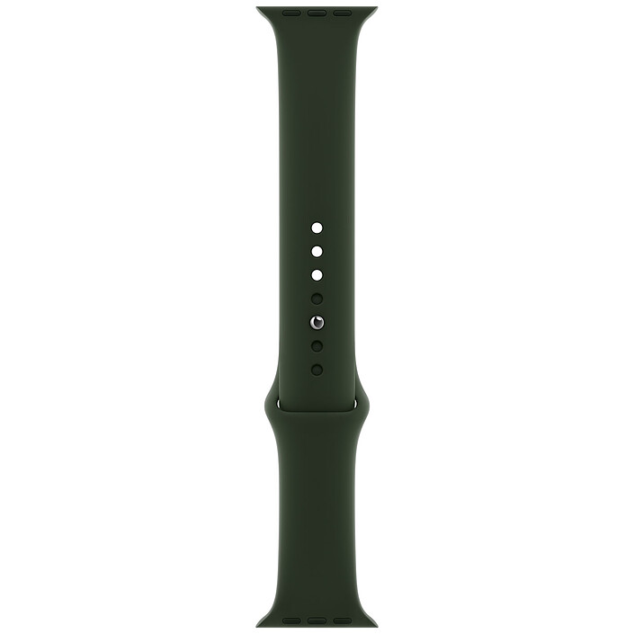 Apple Bracelet Sport 44 mm Cyprus Green - Regular