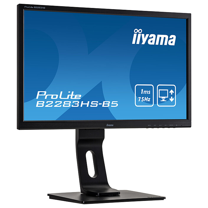 Ecran PC