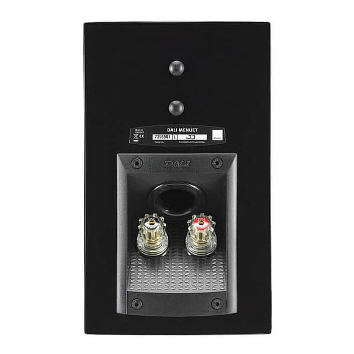 Avis Dali Menuet Noir