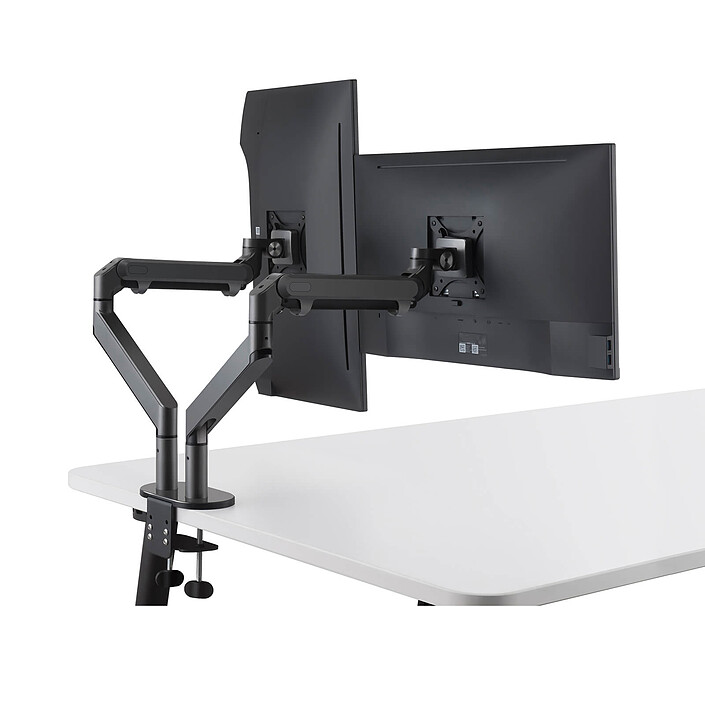 Braccio & Piedistallo