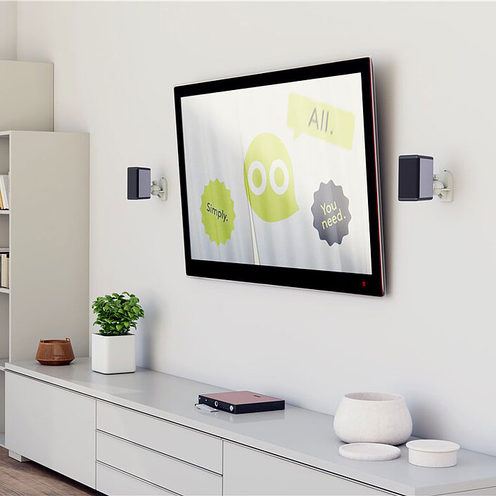 Speaker stands & wall mounts