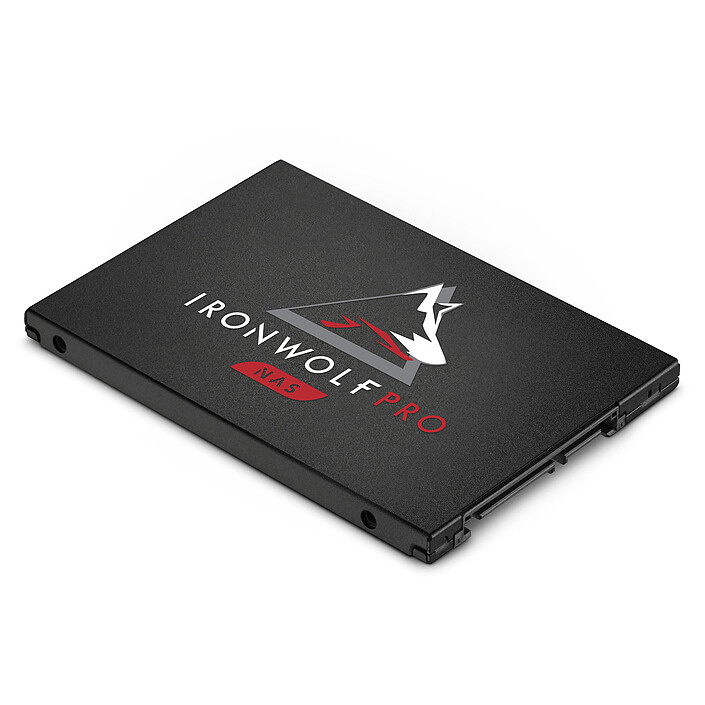 Acheter Seagate SSD IronWolf Pro 125 3.84 To