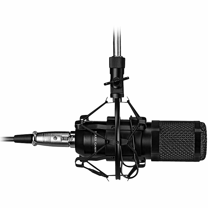 Microphone
